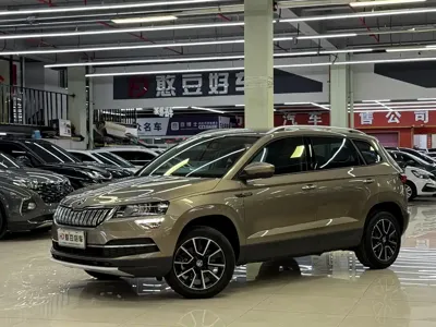 Skoda Karoq · 2021 год