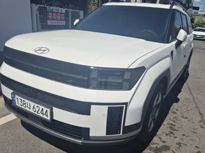 Hyundai Santafe · 2024 год