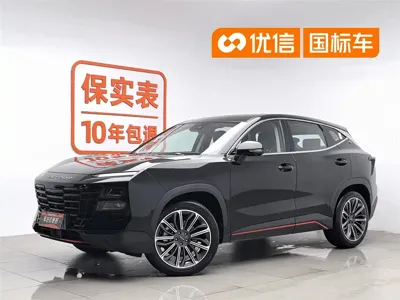 Jetour Dasheng · 2024 год