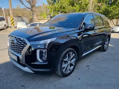 Hyundai Palisade · 2022 год