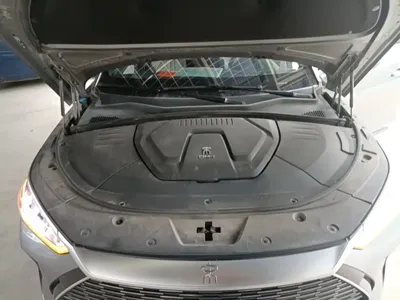 BYD PLUS New Energy 2023, 76300 км, за 10476.55 USD - фото 20