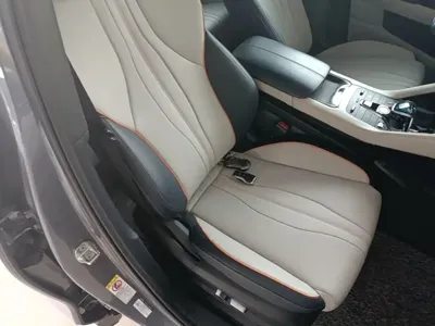 BYD PLUS New Energy 2023, 76300 км, за 10476.55 USD - фото 25