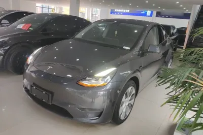 Tesla Model Y · 2021 год
