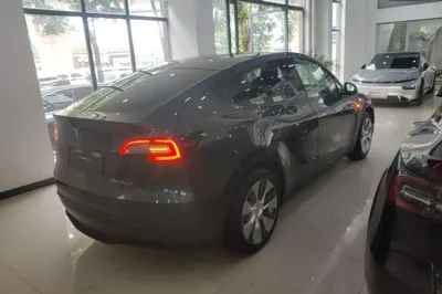 Tesla Model Y 2021, 71800 км, за 23995 USD - фото 6