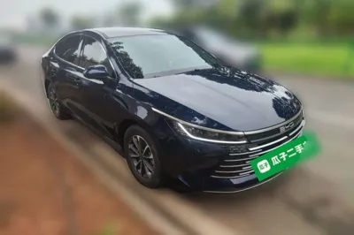 BYD Destroyer 05 2024, 11600 км, за 9908 USD