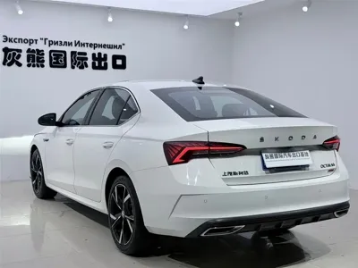 Skoda Octavia 2023, 13000 км, за 23250.65 USD - фото 6