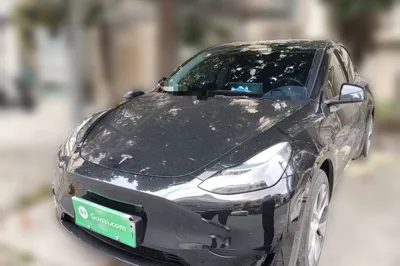 Tesla Model Y · 2022 год