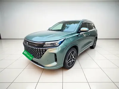 Landian Landian E5 2024, 24600 км, за 10004.51 USD