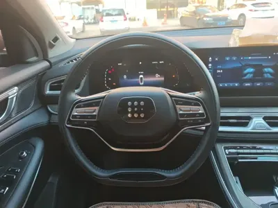 Landian Landian E5 2024, 24600 км, за 10004.51 USD