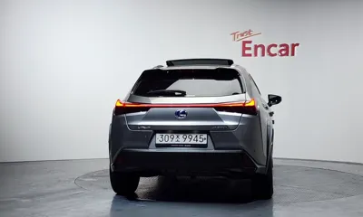 Lexus UX 2021, 58215 км, за 21062.2 USD