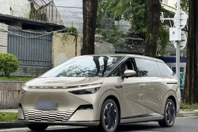 Xpeng X9 · 2024 год