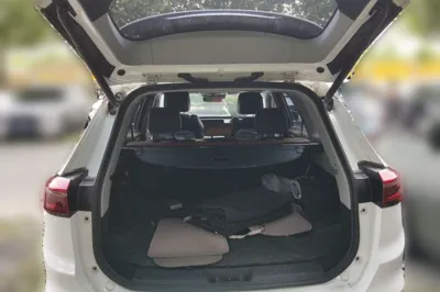 Chery Tiggo 8 2020, 58800 км, за 9639 USD - фото 14