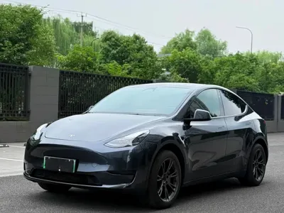 Tesla Model Y · 2024 год