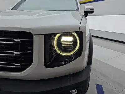 Haval Big Dog 2021, 96900 км, за 8825.82 USD