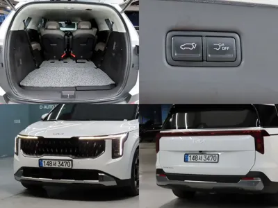Kia Canival 2025, 17545 км, за 26384.38 USD - фото 19