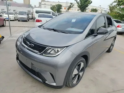 BYD Dolphin 2023, 51000 км, за 8710.84 USD