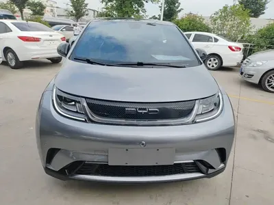 BYD Dolphin 2023, 51000 км, за 8710.84 USD