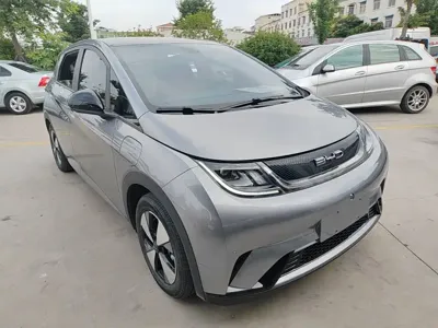 BYD Dolphin 2023, 51000 км, за 8710.84 USD