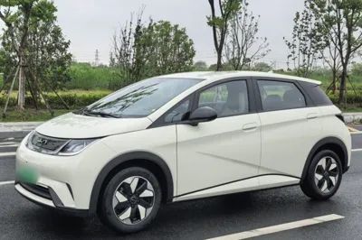 BYD Dolphin · 2025 год