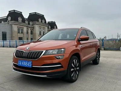 Skoda Karoq · 2020 год