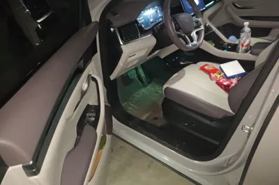 BYD Song PLUS New Energy 2025, 43600 км, за 14896 USD - фото 13