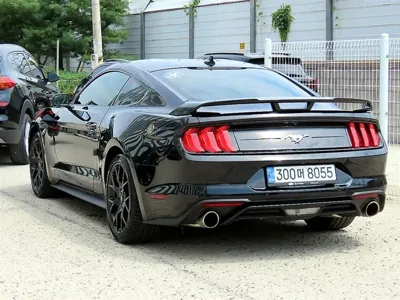 Ford Mustang 2023, 11138 км, за 21333.86 USD