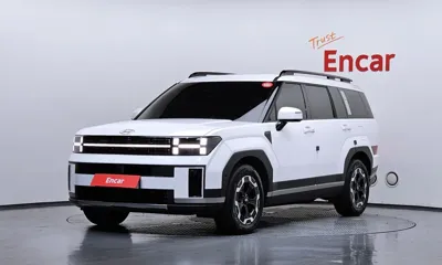 Hyundai Santafe · 2024 год