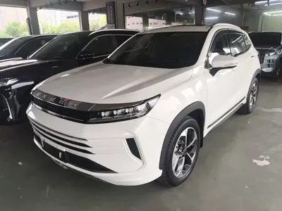 EXEED Zhaofeng · 2019 год