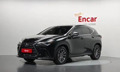 Lexus NX · 2025 год
