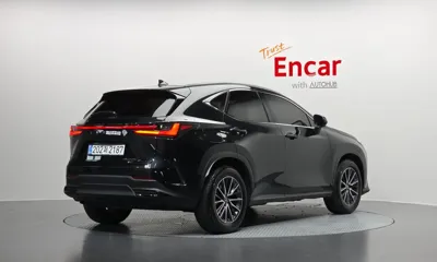 Lexus NX 2025, 25349 км, за 40325.75 USD