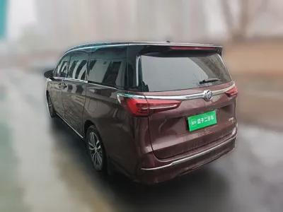 Buick GL8 2023, 104300 км, за 30786 USD - фото 4