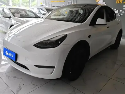 Tesla Model Y · 2022 год