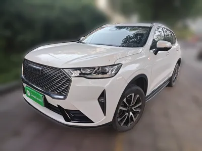 Haval H6 · 2021 год