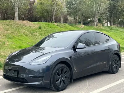 Tesla Model Y · 2024 год
