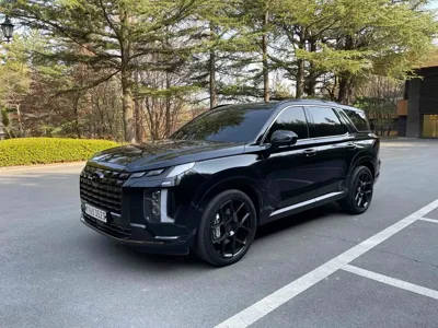 Hyundai Palisade · 2024 год