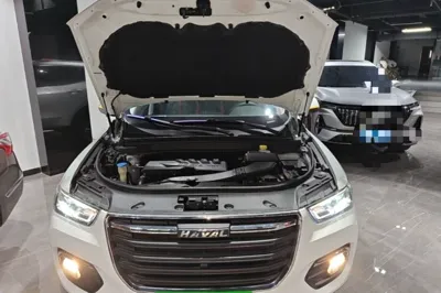 Haval H4 2019, 35200 км, за 7328 USD - фото 24