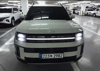 Hyundai Santafe · 2024 год