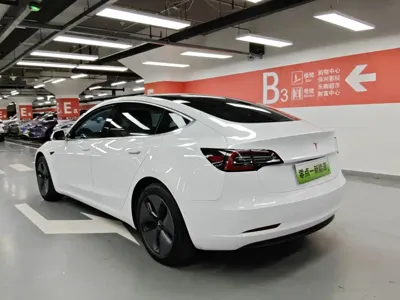 Tesla Model 3 2019, 103000 км, за 15670.39 USD