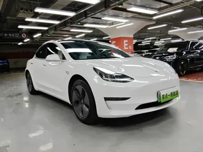 Tesla Model 3 2019, 103000 км, за 15670.39 USD