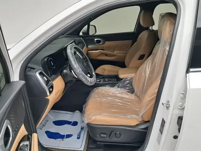 Kia Sorento 2021, 162331 км, за 14918.57 USD - фото 11