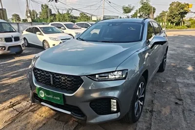 WEY VV7 · 2019 год