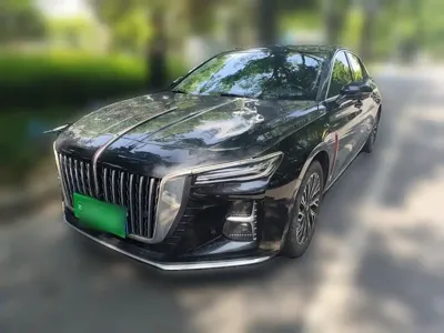 Hongqi Hongqi H5 · 2024 год