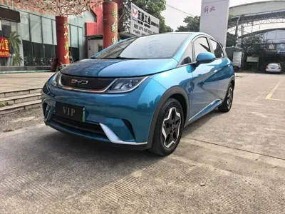 BYD Dolphin · 2022 год