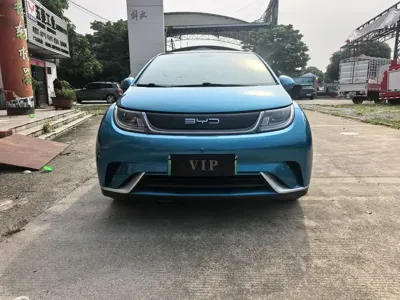 BYD Dolphin 2022, 60000 км, за 8469.02 USD