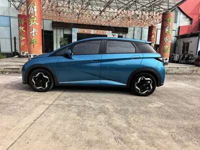 BYD Dolphin 2022, 60000 км, за 8469.02 USD