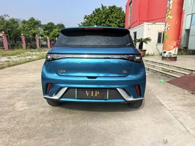 BYD Dolphin 2022, 60000 км, за 8469.02 USD