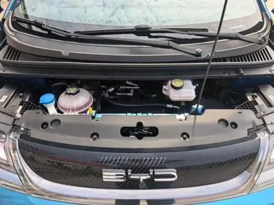 BYD Dolphin 2022, 60000 км, за 8469.02 USD - фото 15