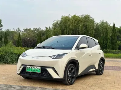 BYD Seagull · 2024 год