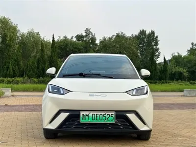 BYD Seagull 2024, 30000 км, за 6716.81 USD