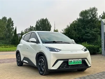 BYD Seagull 2024, 30000 км, за 6716.81 USD